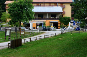 Hotels in Carpegna